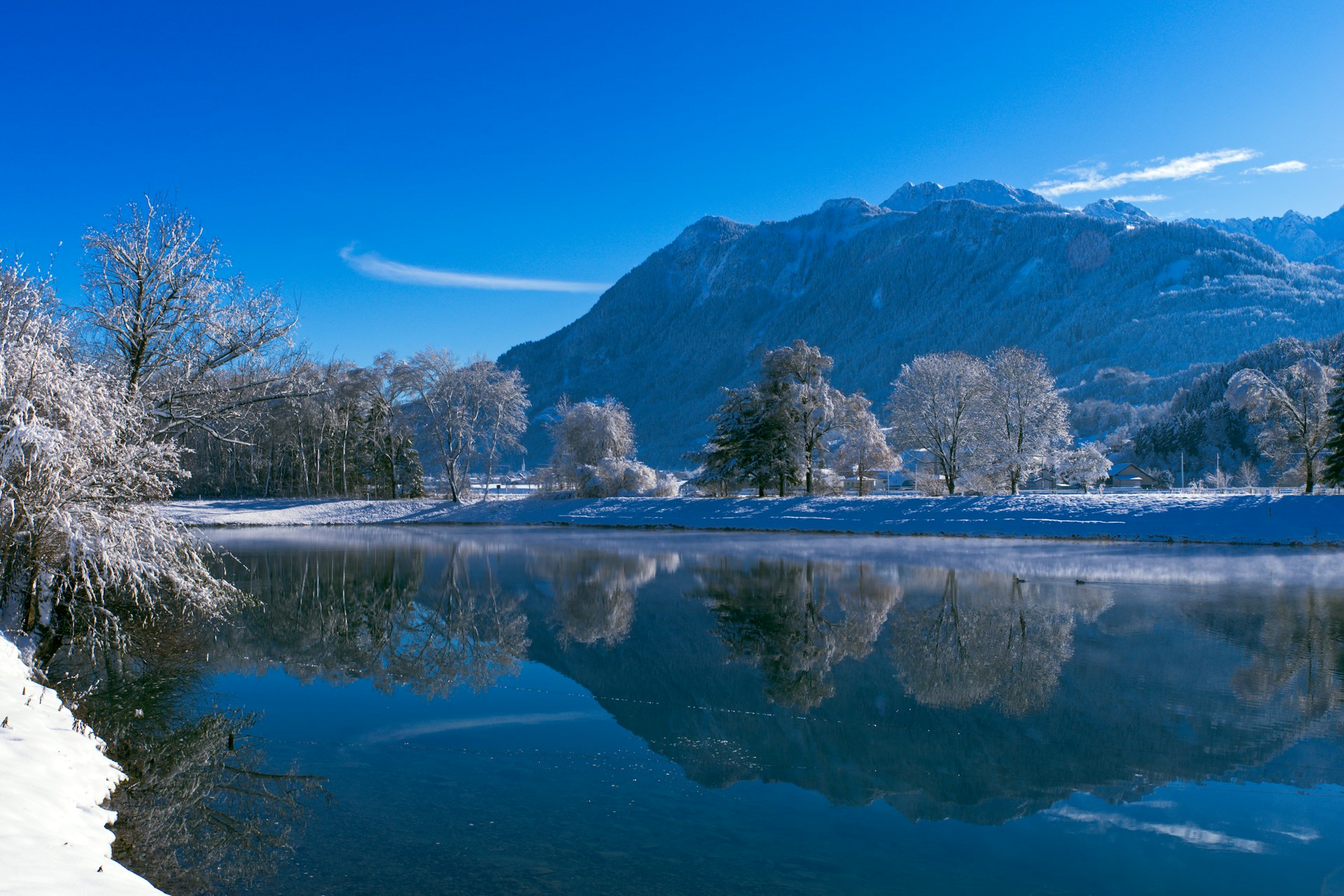 The Best Times to Fly Fish: Maximize Your Freshwater and Saltwater Success